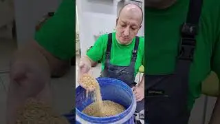 Пшеничное пиво  