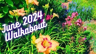 Hot & Dry June 2024 Garden Walkabout In East TN | Silent Garden Walk