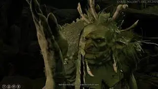 Baldur's gate 3 Walkthrough part 10 Character creation, quests and solutions
