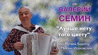 Песня из прошлого под баянчик от ВАЛЕРИЯ СЁМИНА ❤️ 
