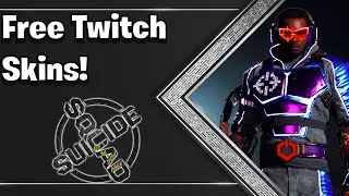 Let's talk about the Missing Twitch Skins....| Suicide Squad: Kill The Justice League