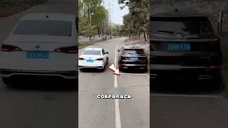 Этот случай на дороге шокировал всех! 