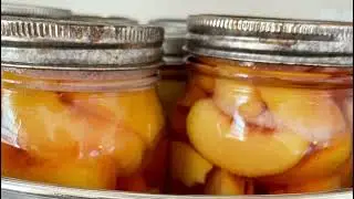 Canning Peaches the Easy Way