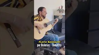 ⚜️Falseta por Bulerías - Tomatito - Flavio Rodrigues en casa de Can Wang⚜️