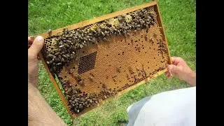 обо всем понемногу