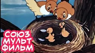 ПРЕЛЕСТНЫЙ МУЛЬТИК! 