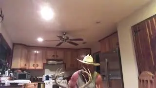 1,000 views