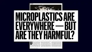 When heavy metal meets microplastic: Princeton’s campus as a living lab