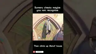 Sumeru Remarkable Chest 