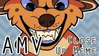 Close Up | Animation Meme