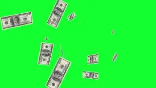 Efecto de dinero, para vídeos  -Pantalla verde.
