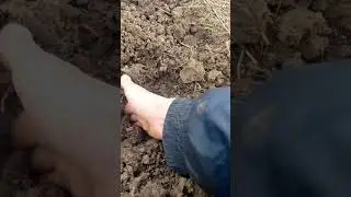 из мотоблока минитрактор