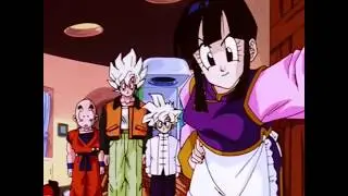 DragonBall Z Abridged - Goku and Chichi S.. -TFS