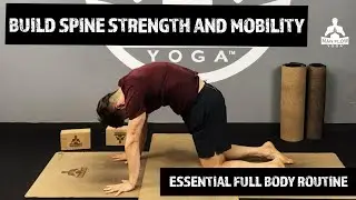 Build Spine Strength and Mobility | Essential Full Body Yoga Routine | 