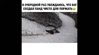 прикол)) 
