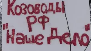 Частушки про коз/ Творчество козоводов РФ