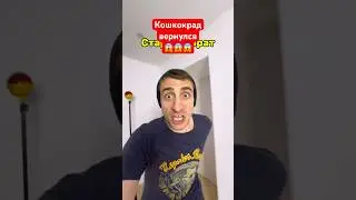 Старший и младший брат / Кошкокрад вернулся 