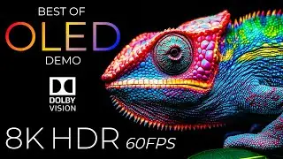Best of OLED Demo HDR 8K Ultra HD Dolby Vision™ 60fps