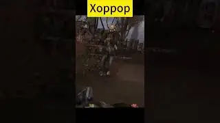 Stalker Clear Coop 