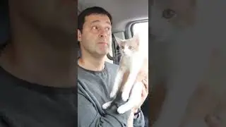 Котенок Шоко нашел свой теплый дом 🤗 