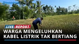 Dapat Dana Transfer Rp 19 Miliar, Pemkab Trenggalek Perbaiki Infrastruktur di Dua Lokasi