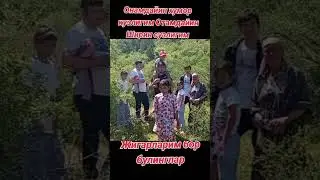 👍👍👍👍