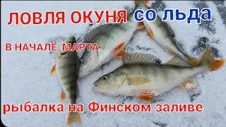 ЛОВЛЯ ОКУНЯ ЗИМОЙ НА БЛЕСНУ,  В НАЧАЛЕ МАРТА!!