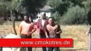 Zmaj od Sipova 2 deo