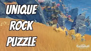 Unique Rocks Puzzle The Chasm | Genshin Impact