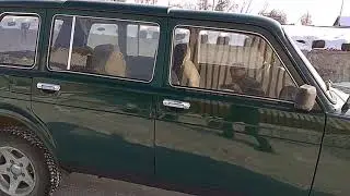 Нива