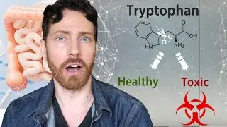 Tryptophan and the Gut: Diet is a Switch for Disease Risk
