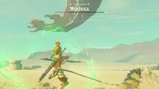 Everyone Forgot Sand Seals Were In The Game