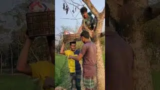 //বাংলাদেশের//সেরা//হাসির//ফানি//ভিডিও #funny #comedy #video