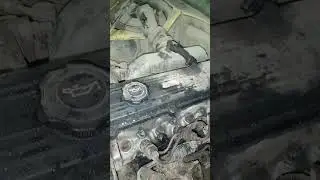 head gasket  problems