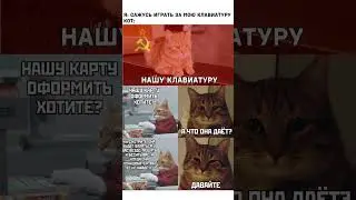 Мем 228