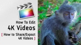 Export and Share a 4K Video | FCP X | Learn Video Editing