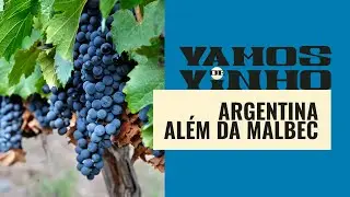 Argentina além da malbec: as melhores opções de vinhos argentinos