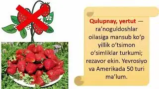 Taqdimot tayyorlash texnologiyasi
