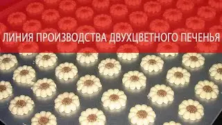 Отсадочная машина для производства печенья