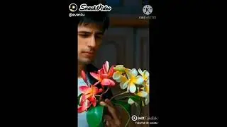 Siddharth Malhotra whatsapp  status
