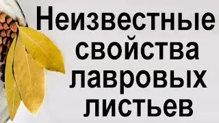 Неизвестные полезные свойства лавровых листьев.