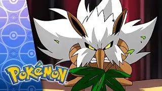 Jump for Joy! | POKÉMON FULL EPISODE 37 | Season 6