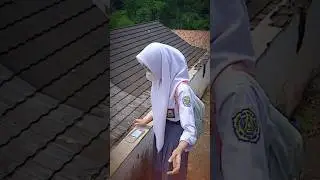 jj tipis² 