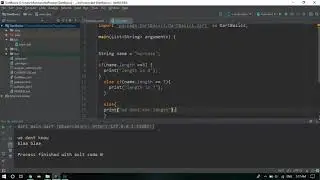 Flutter Tutorials Part 3 IF ELSE Statement And Switch Case