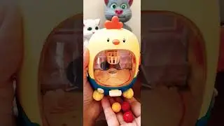 easy-fast 