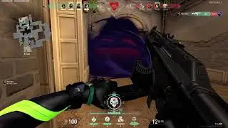insane viper 4k  almost ace