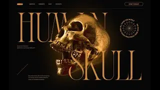 ДИЗАЙН ПЕРШОГО ЕКРАНУ САЙТУ | Shot for Dribbble