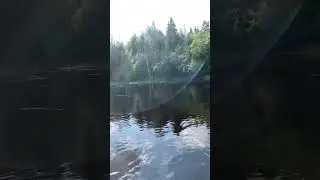 Лодка. Река Оредеж. Рождествено. (4)