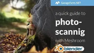 Meshroom and Blender photoscanning tutorial (+ falling leaf animation)
