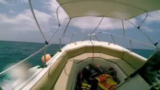 PIKILOS CREW waves
